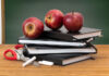 Wady podstawowego programu edukacji