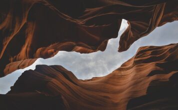 Jakie są formy działalności gospodarczej?