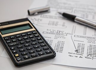Ile wynosi podatek dochodowy dla firm jednoosobowych?