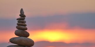 W czym wyraża się saldo migracji?