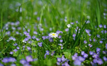 Czy nagroda i premia to to samo?